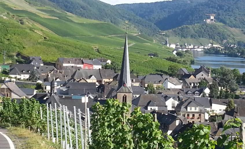 Weinhaus Hotel Zum Josefshof Graach Buitenkant foto