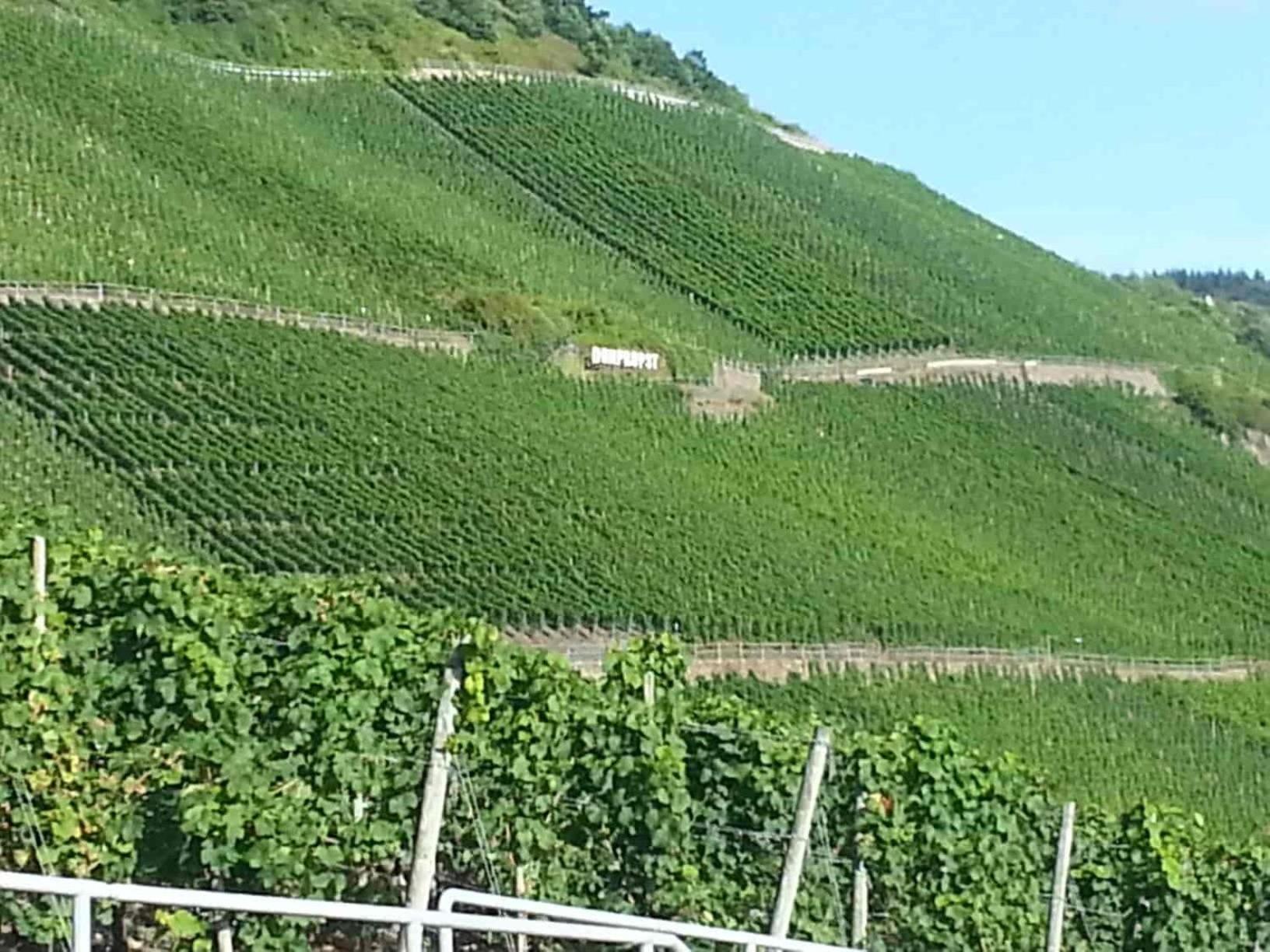 Weinhaus Hotel Zum Josefshof Graach Buitenkant foto